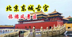 美女插插插网站中国北京-东城古宫旅游风景区