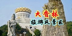 3d羞羞抽插视频网站中国浙江-绍兴大香林旅游风景区